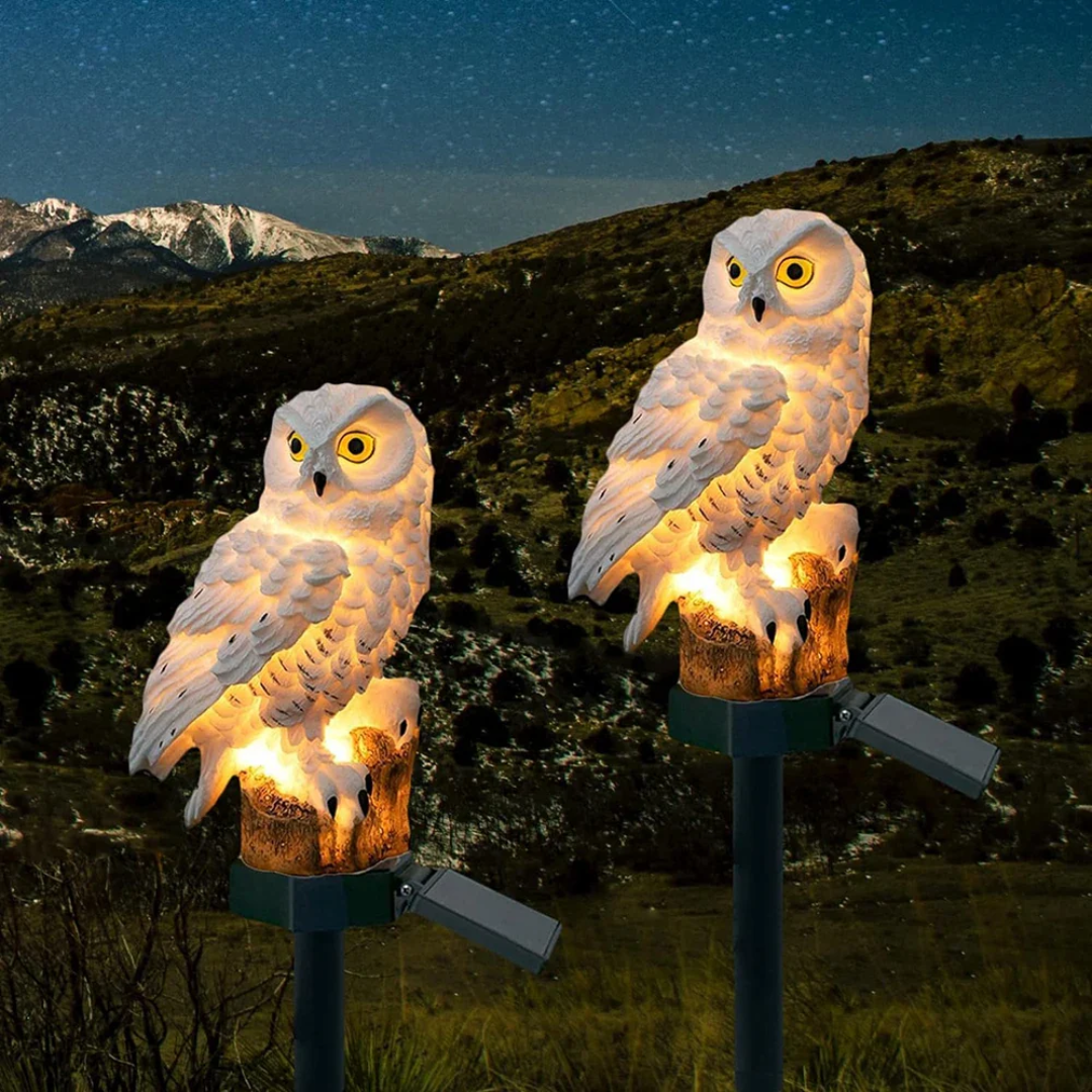 Solar Owl Garden Light – Decorative Outdoor Pathway Stake Lamp, Auto On at Night, No Wiring, 1 or 2 Pack for Lawn & Patio