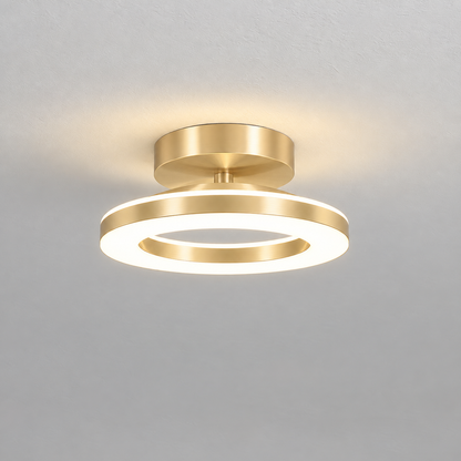 Modern Acrylic Round LED Ceiling Light – Compact Flush Mount for Hallway & Entryway, Black or Gold, Warm or Cool White