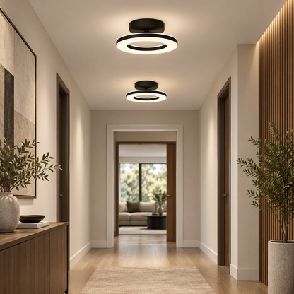 Modern Acrylic Round LED Ceiling Light – Compact Flush Mount for Hallway & Entryway, Black or Gold, Warm or Cool White