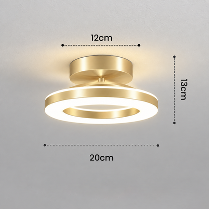 Modern Acrylic Round LED Ceiling Light – Compact Flush Mount for Hallway & Entryway, Black or Gold, Warm or Cool White