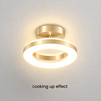 Modern Acrylic Round LED Ceiling Light – Compact Flush Mount for Hallway & Entryway, Black or Gold, Warm or Cool White