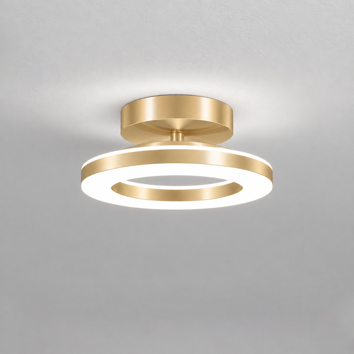 Modern Acrylic Round LED Ceiling Light – Compact Flush Mount for Hallway & Entryway, Black or Gold, Warm or Cool White