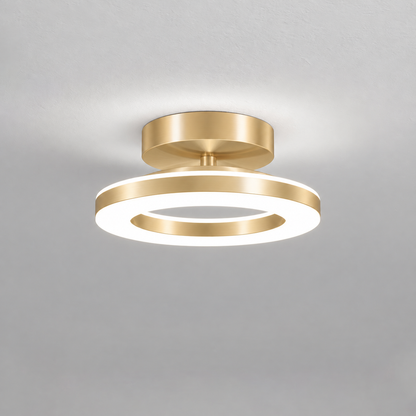 Modern Acrylic Round LED Ceiling Light – Compact Flush Mount for Hallway & Entryway, Black or Gold, Warm or Cool White