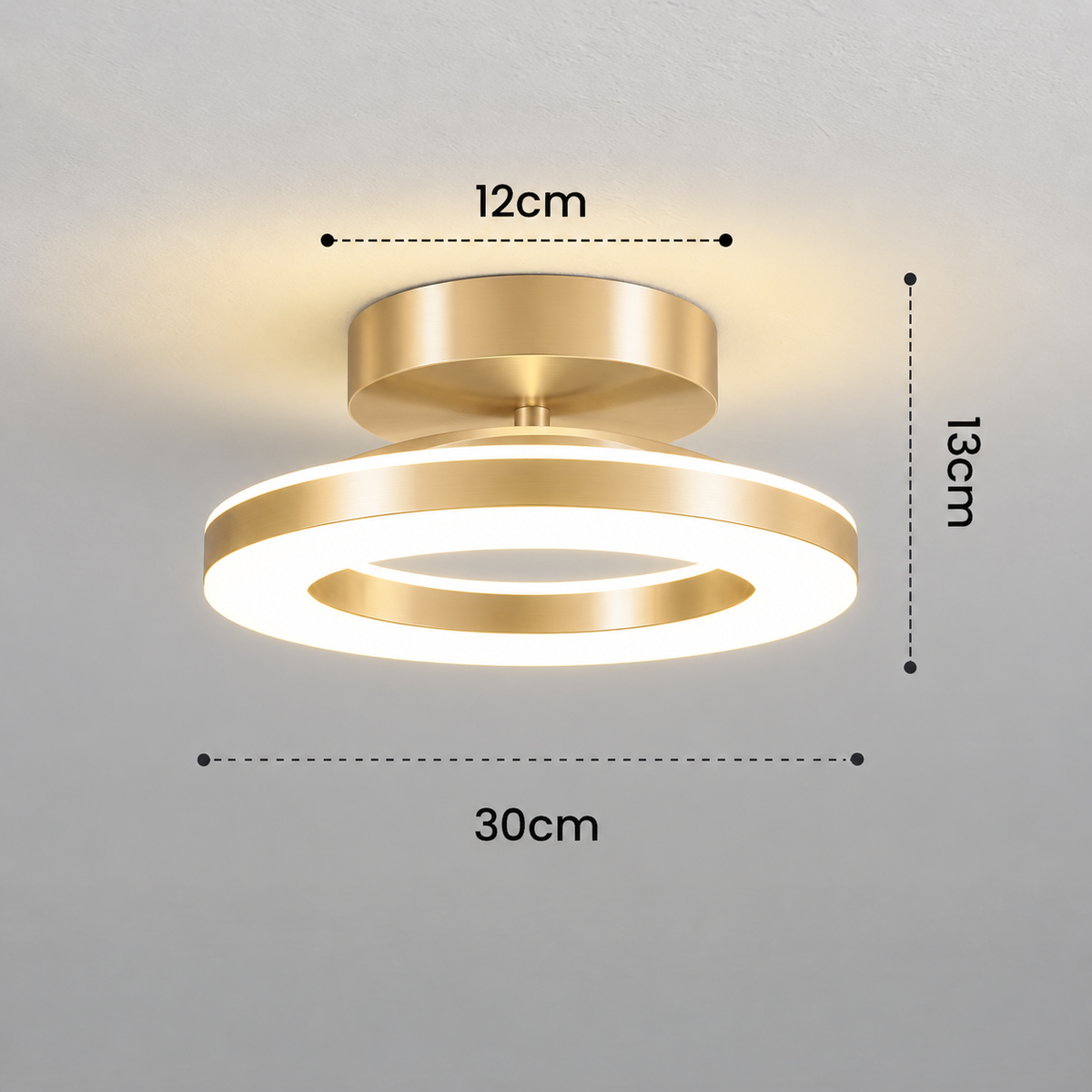 Modern Acrylic Round LED Ceiling Light – Compact Flush Mount for Hallway & Entryway, Black or Gold, Warm or Cool White