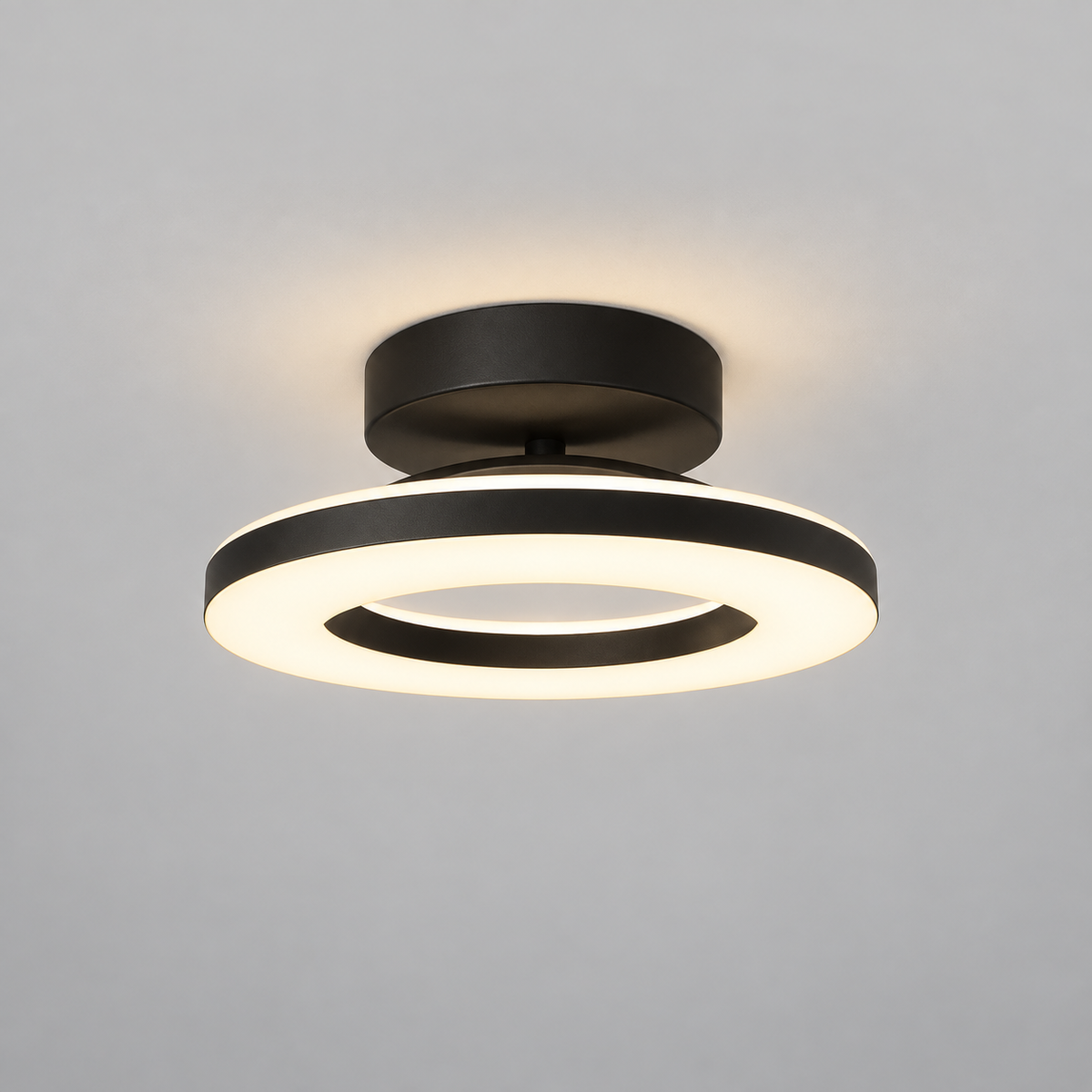 Modern Acrylic Round LED Ceiling Light – Compact Flush Mount for Hallway & Entryway, Black or Gold, Warm or Cool White