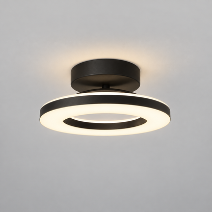 Modern Acrylic Round LED Ceiling Light – Compact Flush Mount for Hallway & Entryway, Black or Gold, Warm or Cool White