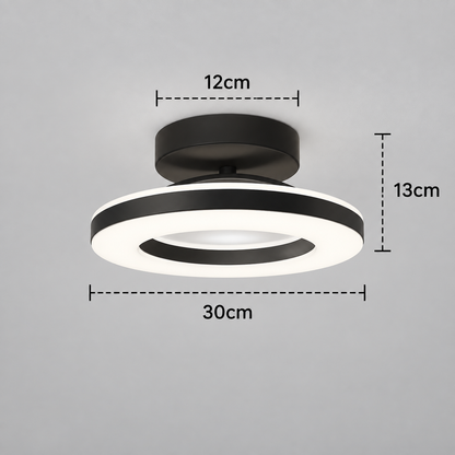 Modern Acrylic Round LED Ceiling Light – Compact Flush Mount for Hallway & Entryway, Black or Gold, Warm or Cool White