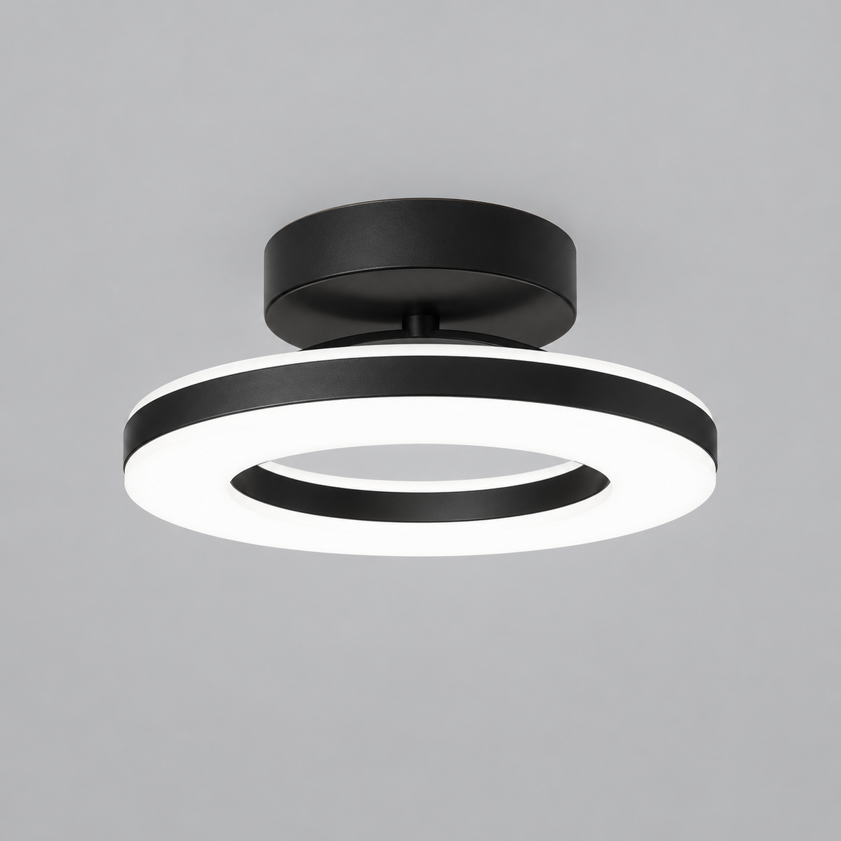 Modern Acrylic Round LED Ceiling Light – Compact Flush Mount for Hallway & Entryway, Black or Gold, Warm or Cool White