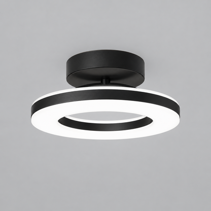 Modern Acrylic Round LED Ceiling Light – Compact Flush Mount for Hallway & Entryway, Black or Gold, Warm or Cool White