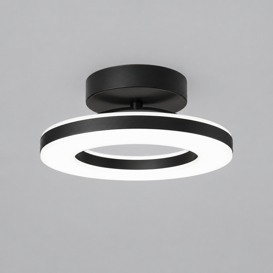 Modern Acrylic Round LED Ceiling Light – Compact Flush Mount for Hallway & Entryway, Black or Gold, Warm or Cool White