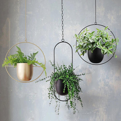 FloraFrame Hanging Planter – Modern Minimalist Iron Geometric Plant Holder, Wall or Ceiling Mount Indoor Plant Display